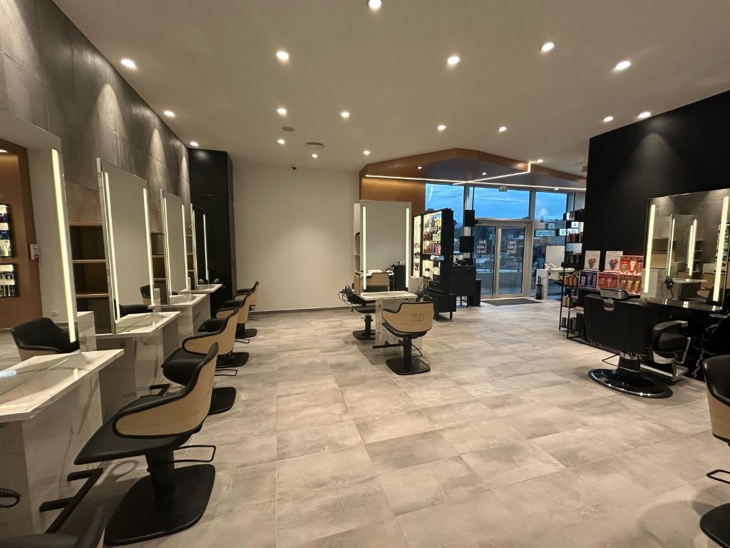 Salon Jean Louis David — intégration technique